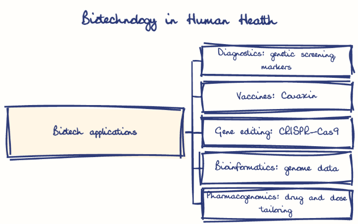 Hand-drawn diagram: Biotechnology in Human Health. Biotechnology in Human Health. Diagram (tree): Biotechnology in Human Health; Biotech applications; Diagnostics: genetic screening, markers; Vaccines: Covaxin; Gene editing: CRISPR-Cas9; Bioinformatics: genome data; Pharmacogenomics: drug and dose tailoring