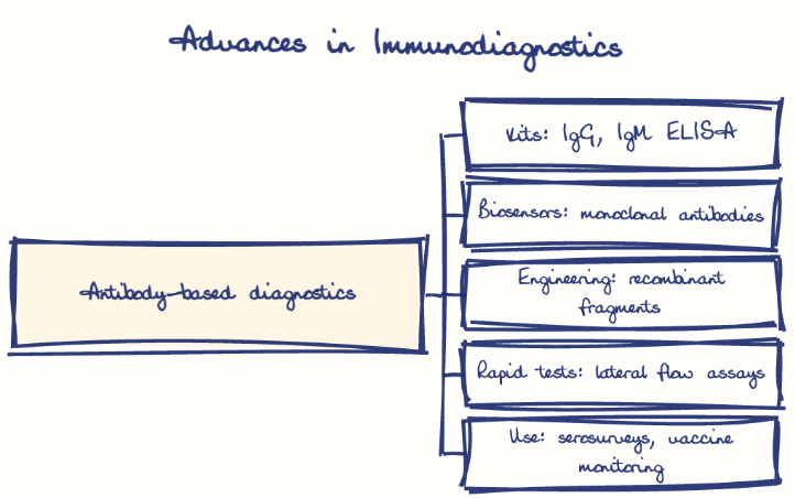 Hand-drawn diagram: Advances in Immunodiagnostics. Advances in Immunodiagnostics. Diagram (tree): Advances in Immunodiagnostics; Antibody-based diagnostics; Kits: IgG, IgM ELISA; Biosensors: monoclonal antibodies; Engineering: recombinant fragments; Rapid tests: lateral flow assays; Use: serosurveys, vaccine monitoring